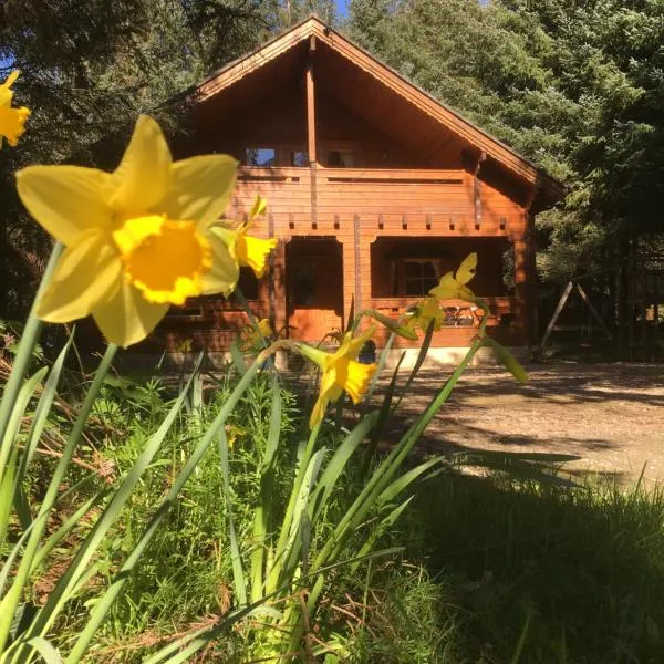 Bernard’s Logcabins，位于百利科内尔的酒店