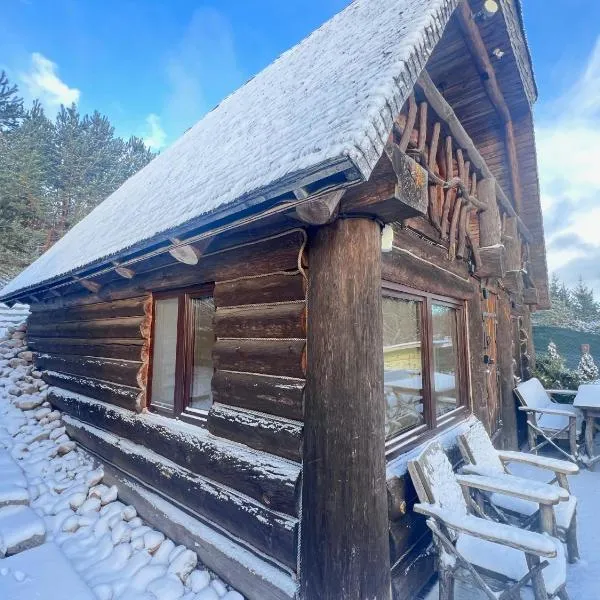 Domwigierski pl -Tobołowo GR -nad samym brzegiem jeziora z sauną- klimatyzacja，位于Tobołowo的酒店