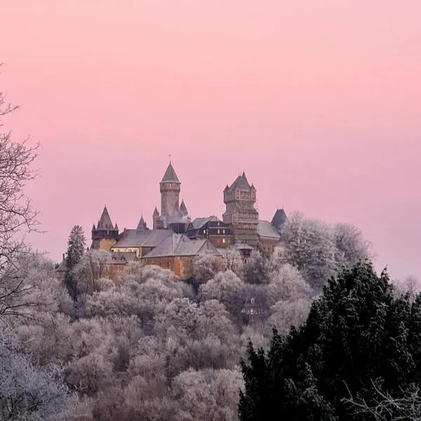 Ferienwohnung Schlossblick - 4 Sterne Sauna Pool Whirlpool exklusiv，位于布劳恩费尔斯的酒店