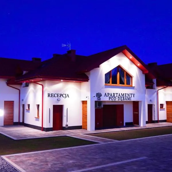 Apartamenty pod Dębami - noclegi Beskid Niski，位于Odrzechowa的酒店
