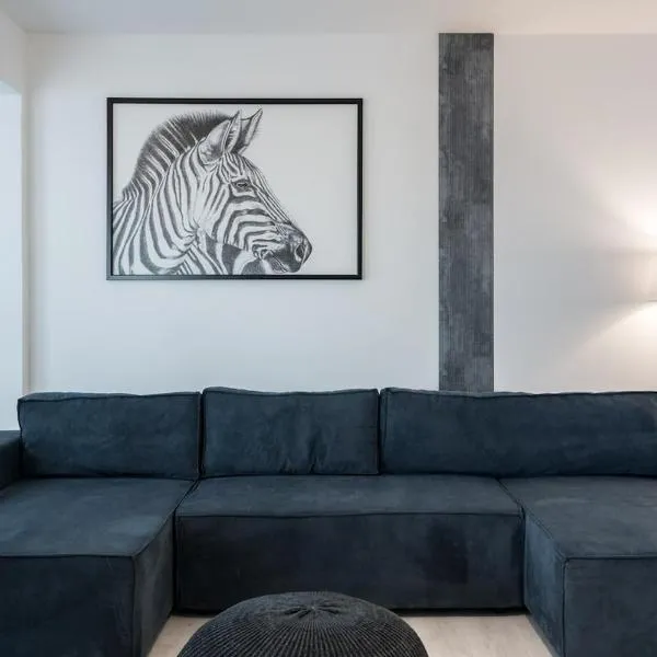 AeroPrime - LOFT，位于Tunari的酒店