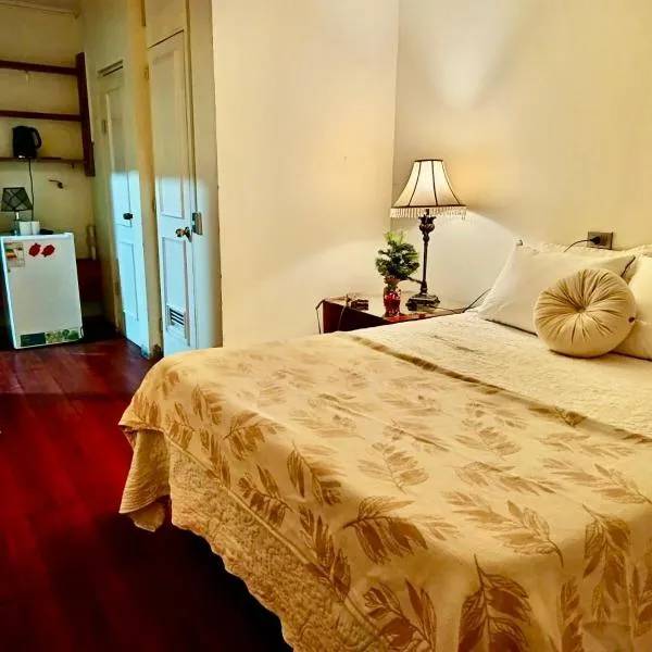 Casa Cabaña independiente Lomas de Mirasur，位于特木科的酒店