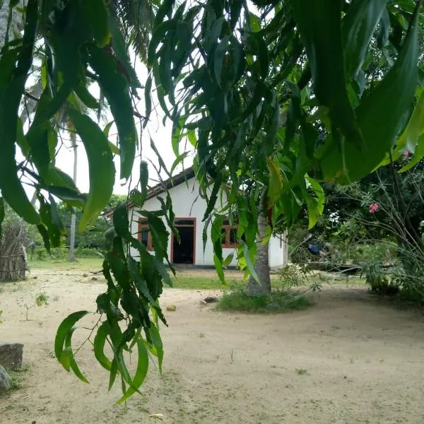 House of Freedom，位于汉班托塔的酒店