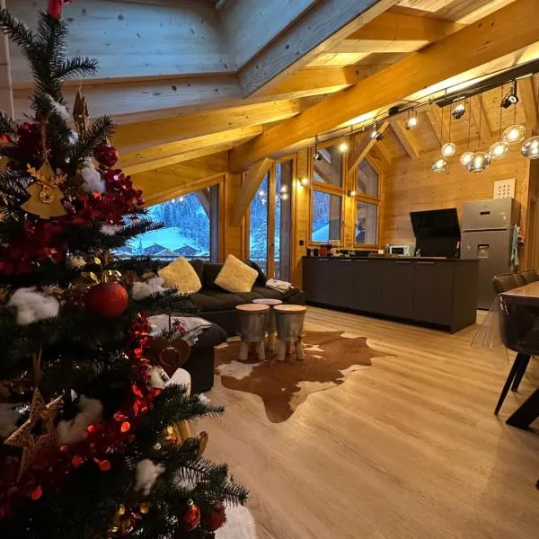 La Rose des neiges à Châtel，位于沙泰勒的酒店