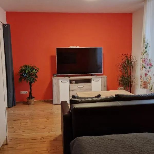 Familienfreundliche große Fewo Peter in Bärenstein bis 5 Personen，位于贝伦斯泰因的酒店