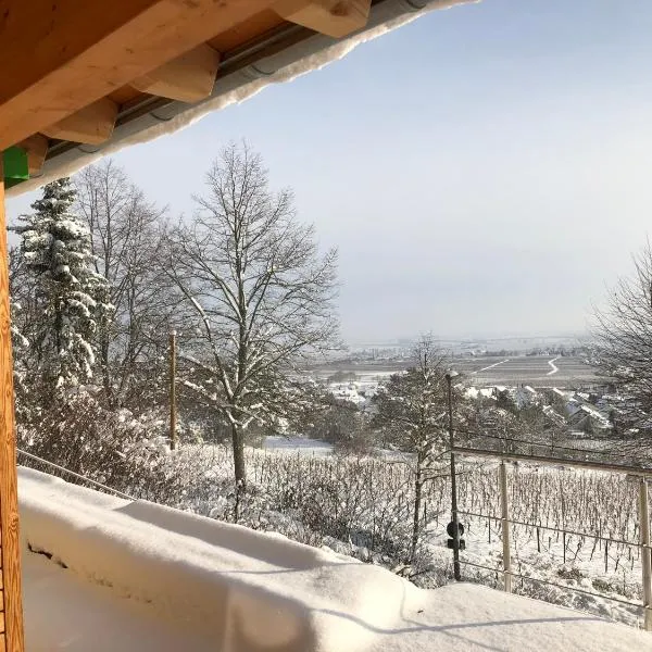 Ferienhaus Lindenallee 20，位于Gleisweiler的酒店