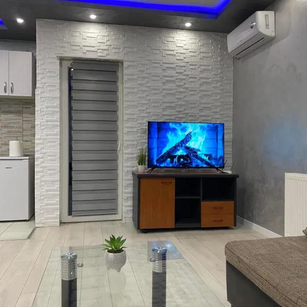 Infinity Apartman Obrenovac, sa parkingom privatnim，位于Obrenovac的酒店