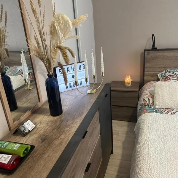Chambre privée chez l'habitant，位于瑟松塞维涅的酒店