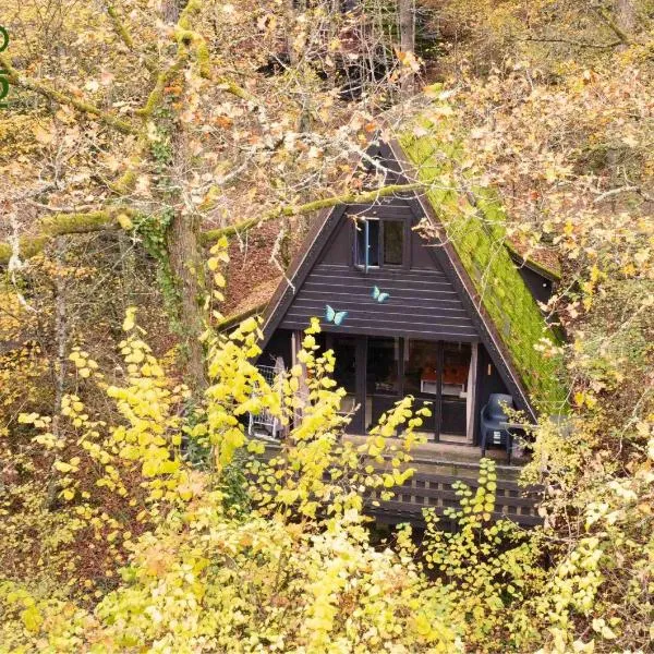Durbuy Bungalow 194, calme et nature，位于杜柏的酒店