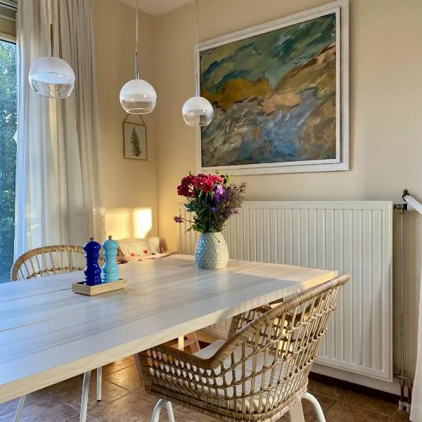 Mijn kleine vakantiehuis in Breskens，位于布雷斯肯斯的酒店