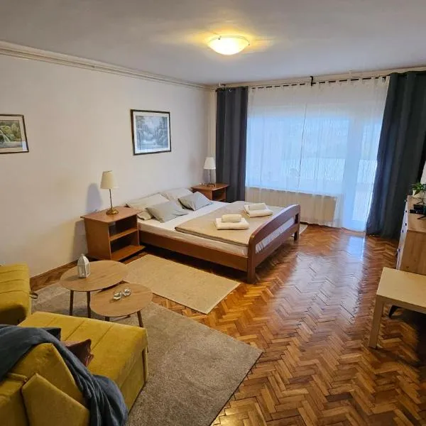 Apartman Angel，位于库蒂纳的酒店