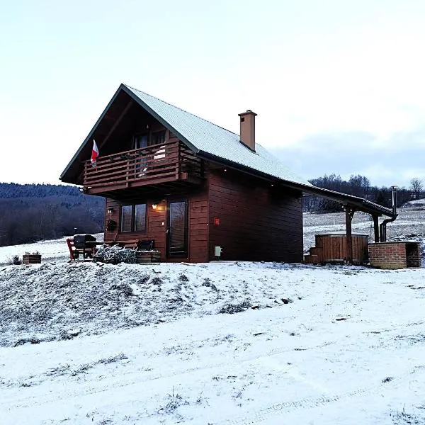 Domek Na Starej Cegielni，位于巴利格鲁德的酒店