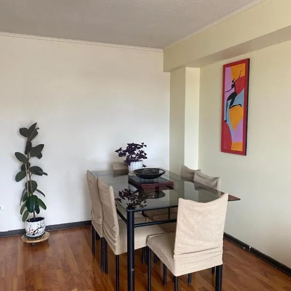 Acogedor y amplio departamento central，位于特木科的酒店