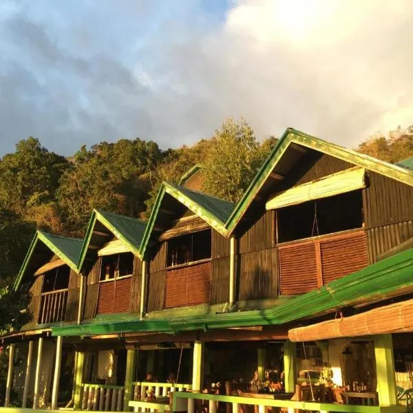 Liberty's Lodge and Diving - Apo Island，位于杜马格特的酒店