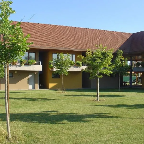 Les Loges Du Ried - Studios & Appartements proche Europapark，位于马尔科勒塞姆的酒店