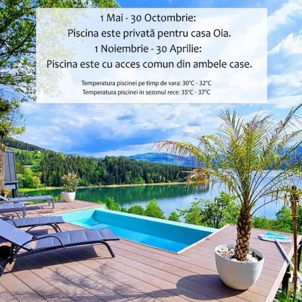 Moon Lake Bicaz - Casa Oia，位于Buhalniţa的酒店