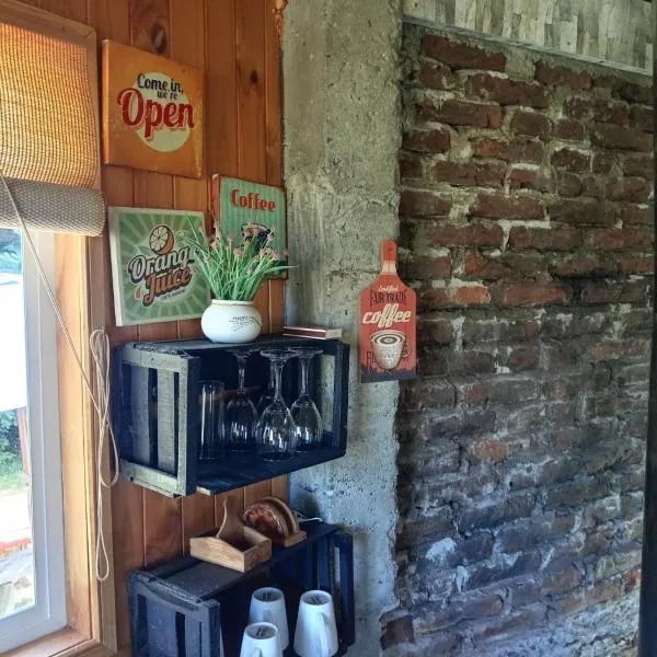 Cabaña con vista al Volcan，位于弗鲁蒂亚尔的酒店