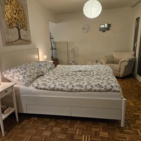 Schöne Wohnung in der Innenstadt，位于卢塞恩的酒店