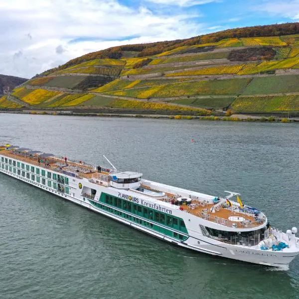 Hotelschiff Lady Diletta，位于科隆的酒店