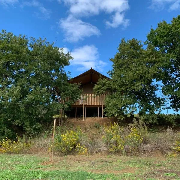 Glamping Podere Angiotto LODGE QUERCIA，位于马利亚诺因托斯卡纳的酒店