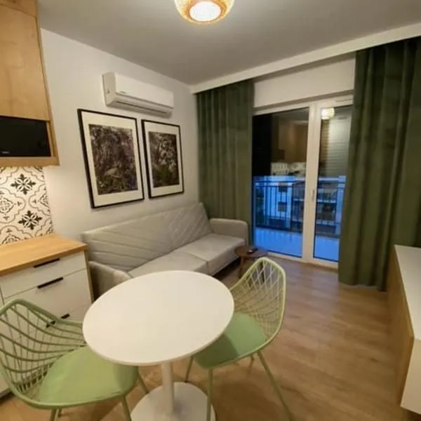 LOFT APARTAMENT V Namysłów，位于纳梅斯武夫的酒店