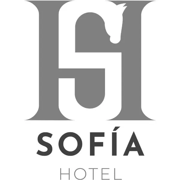 SOFIA Hotel，位于San Miguel Tlamahuco的酒店