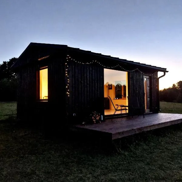 Alchemilla Cabin，位于Padure的酒店