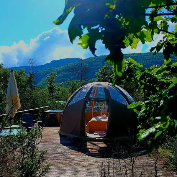 Bulle en bois sous les étoiles，位于Champfromier的酒店