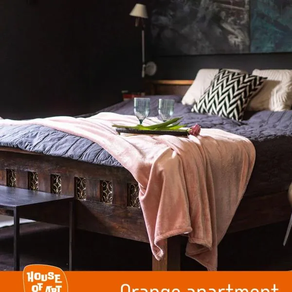 House of Art，位于沃米安基的酒店