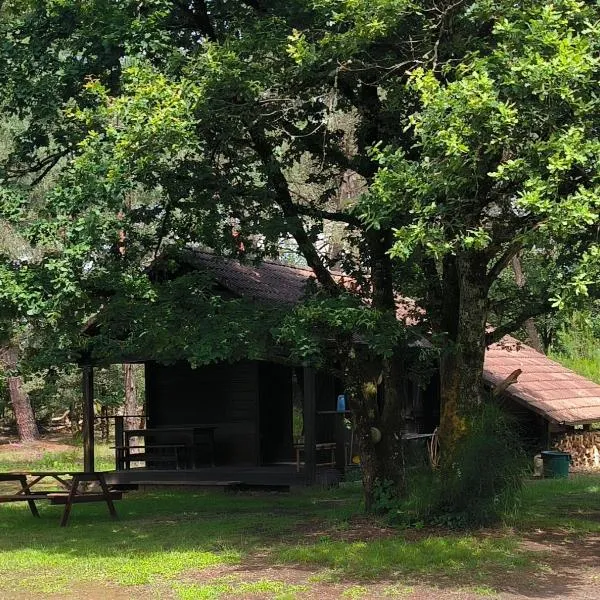 Chalet de l 'étang，位于Vignoux-sur-Barangeon的酒店