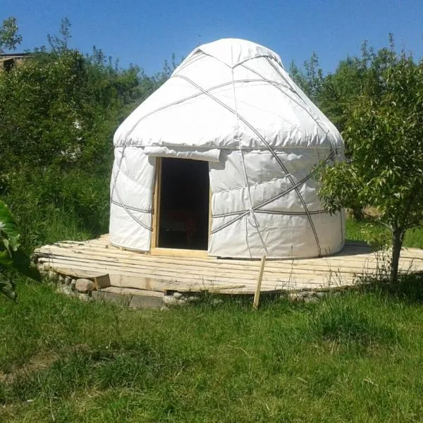 Bel-Zhan Yurt Lodge，位于Tegirmenty的酒店