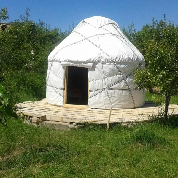 Bel-Zhan Yurt Lodge，位于Grigor'yevka的酒店