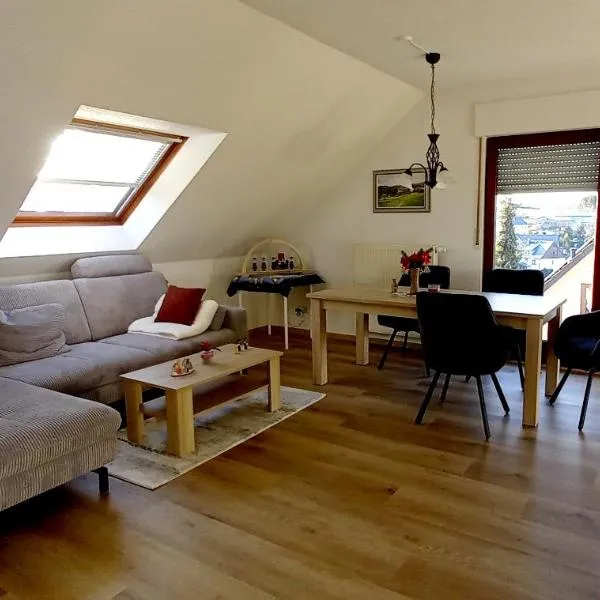 Ferienwohnnung Ruth - Familienurlaub im Erzgebirge，位于Langenbach的酒店