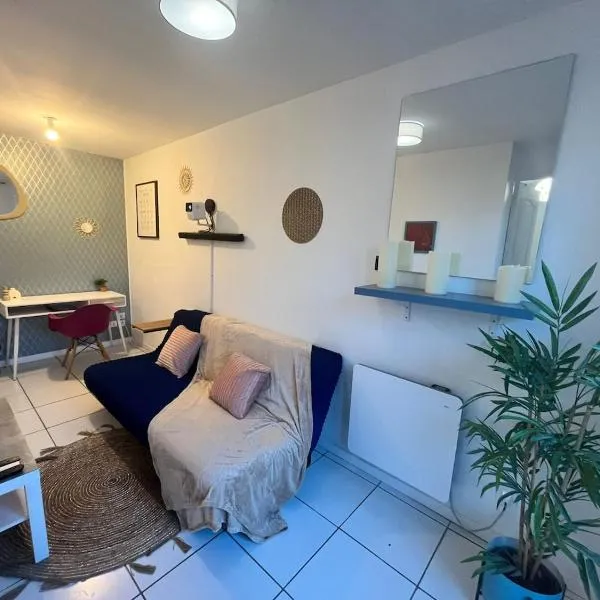 Le petit refuge 28m2 2 personnes avec extérieur，位于Denain的酒店