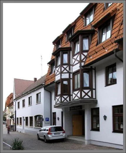 巴瑞恩酒店，位于Dielheim的酒店