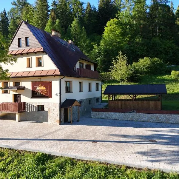 Gościniec Stara Szkoła,位于Hałuszowa的酒店