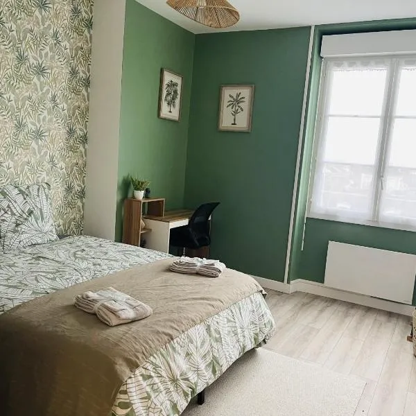 Au Logis Briand - Appartement 3 Chambres - Bâtiment historique，位于沙泰勒罗的酒店