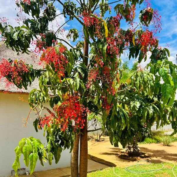 kwamapulaneng guest house，位于Matrooster的酒店