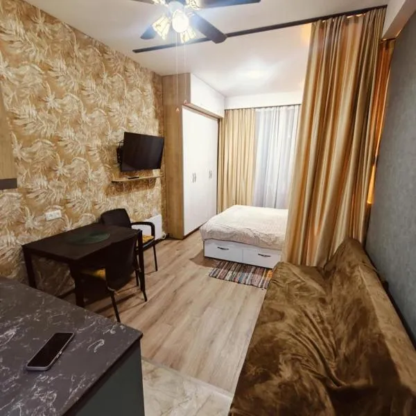 Studio apartment in Bakuriani，位于巴库里阿尼的酒店