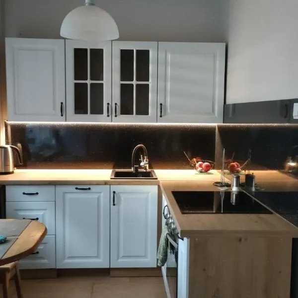 Apartament 2 pokoje，位于奥斯特罗维茨的酒店