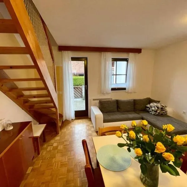 Terme Čatež apartma Maestro，位于卡特兹奥布萨维的酒店