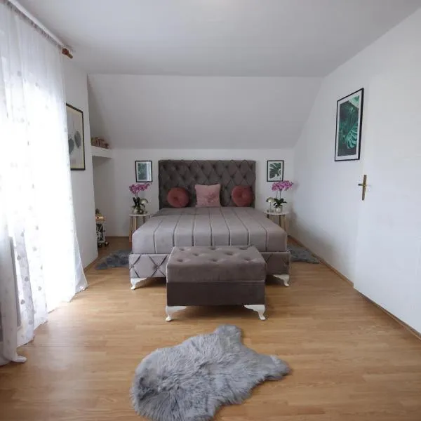Apartman La Perla，位于Vrbas的酒店
