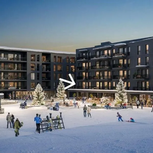 Hemsedal, sengeplass til 8, ski inn ski out，位于海姆瑟达尔的酒店
