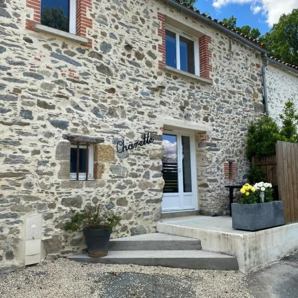 Les rives du Lay gîte Charette，位于Le Boupère的酒店