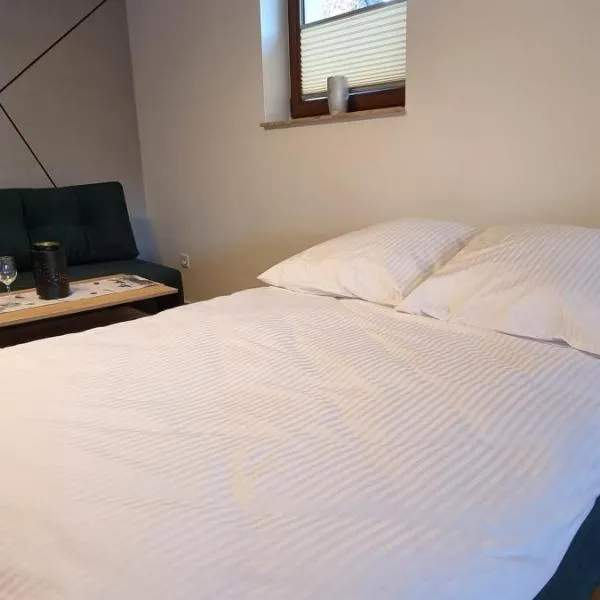 Apartament Miód Malina，位于Olszówka的酒店