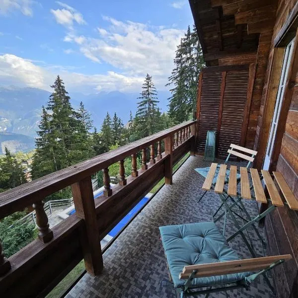 Vue 180 - Au pied des pistes - Typique et alpin，位于安塞热的酒店