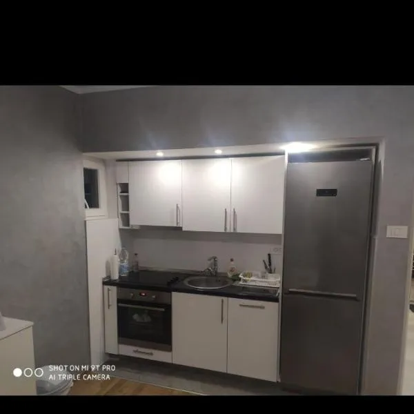 Silvestar-Home house，位于泽尼察的酒店
