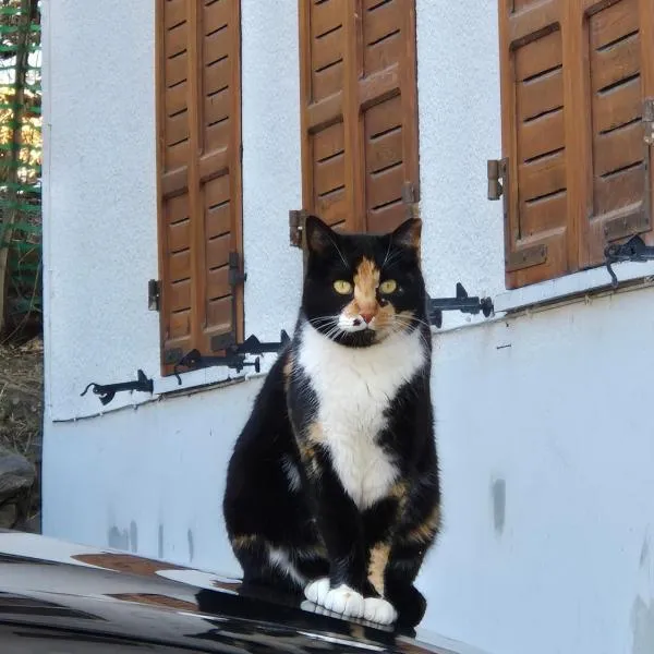 Maison MayRose CIR 42，位于安泰伊-萨伊恩特-安德尔埃的酒店