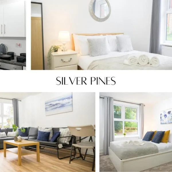 Silver Pines King bed 2 BR apartment，位于曼彻斯特的酒店