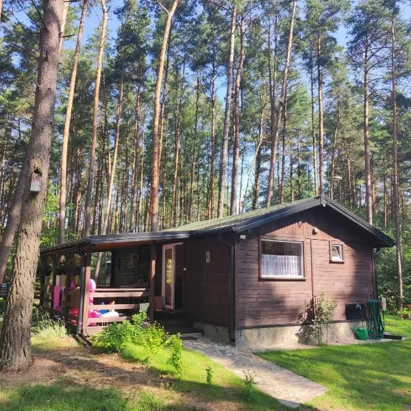 Domek pod sosnami，位于Grodziczno的酒店